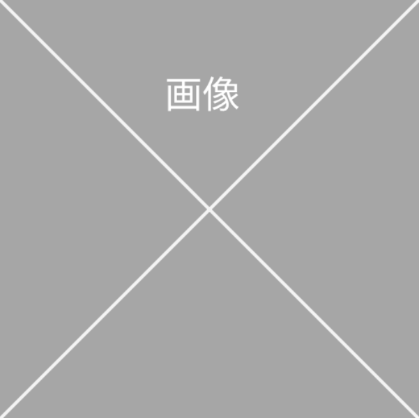 仮がぞう